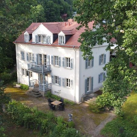 Villa Im Park Wachwitzgrund Dresden Buitenkant foto