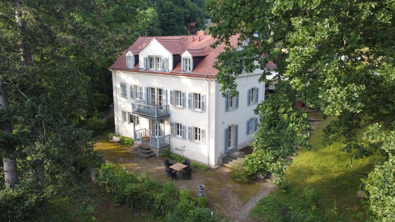 Villa Im Park Wachwitzgrund Dresden Buitenkant foto