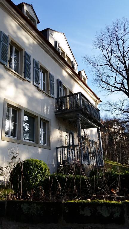 Villa Im Park Wachwitzgrund Dresden Buitenkant foto