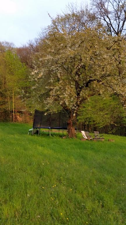 Villa Im Park Wachwitzgrund Dresden Buitenkant foto