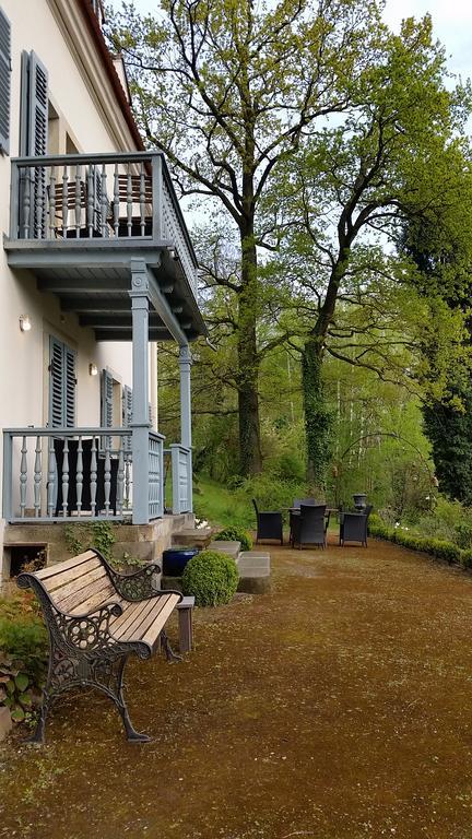 Villa Im Park Wachwitzgrund Dresden Buitenkant foto