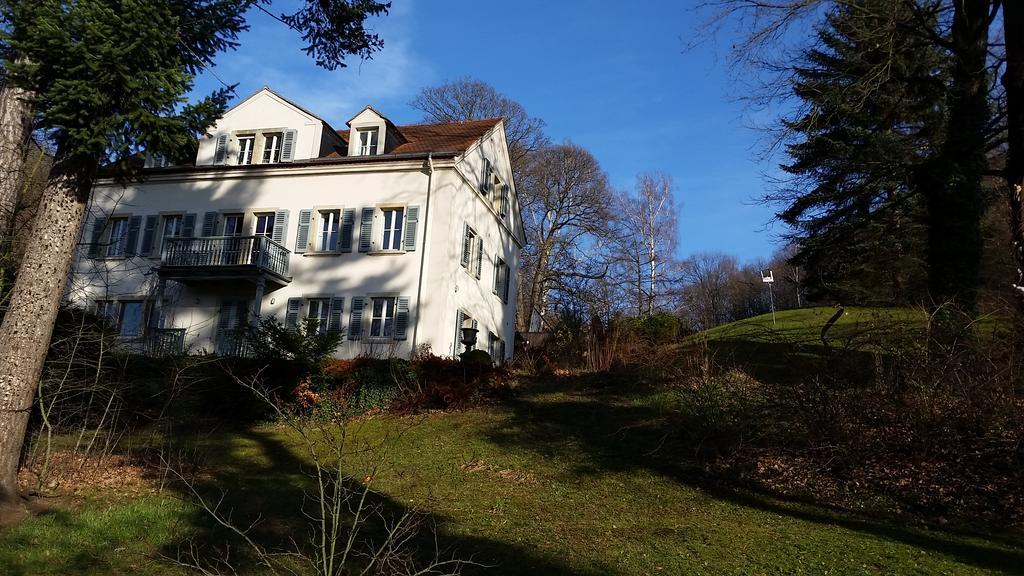 Villa Im Park Wachwitzgrund Dresden Buitenkant foto