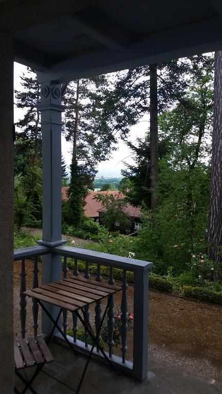 Villa Im Park Wachwitzgrund Dresden Buitenkant foto